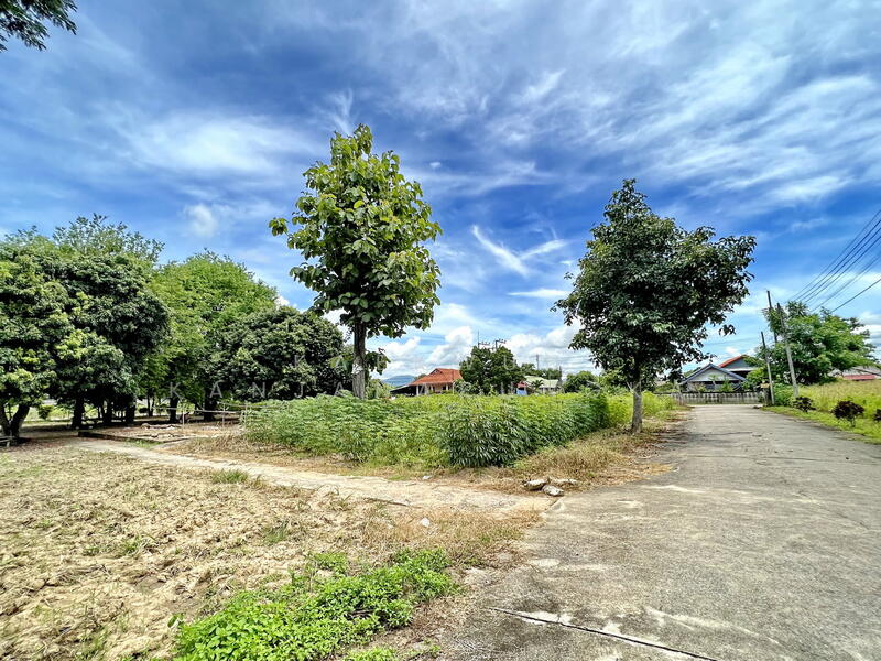LB62 ขายที่ดินหลากหลายแปลง ตำแหน่งทอง ริมกก เชียงราย, เชียงราย, ริมกก, เมืองเชียงราย, เชียงราย, 400 ตร.ม., ที่ดิน ขาย, โดย Kaekwun Kanjanapungka, 11894195 - DDproperty.com