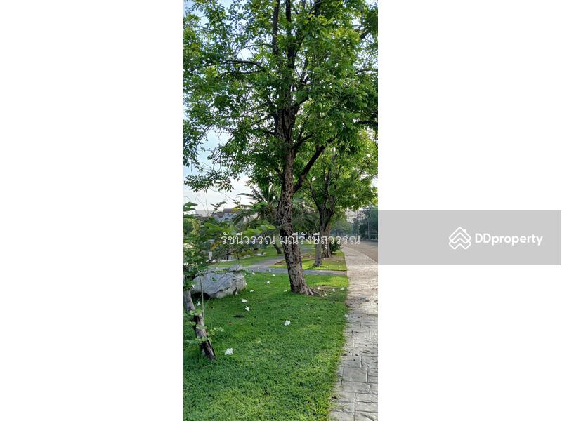 ขาย - Garden Home Village : การ์เด้นโฮม วิลเลจ, ปทุมธานี