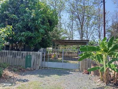 ขาย - หาไม่เจอ, เชียงใหม่