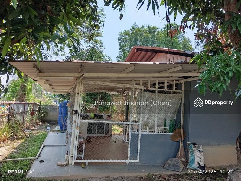 For Sale - หาไม่เจอ, Chiang Mai