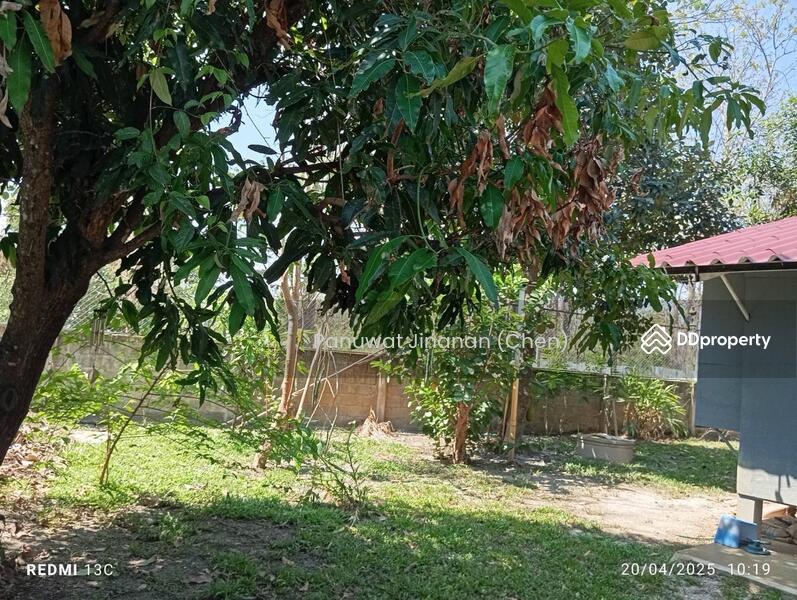 For Sale - หาไม่เจอ, Chiang Mai