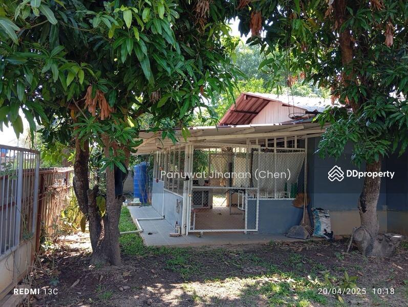 For Sale - หาไม่เจอ, Chiang Mai
