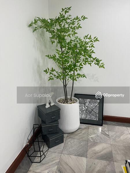 For Rent - Acadamia Grand Tower, Bangkok