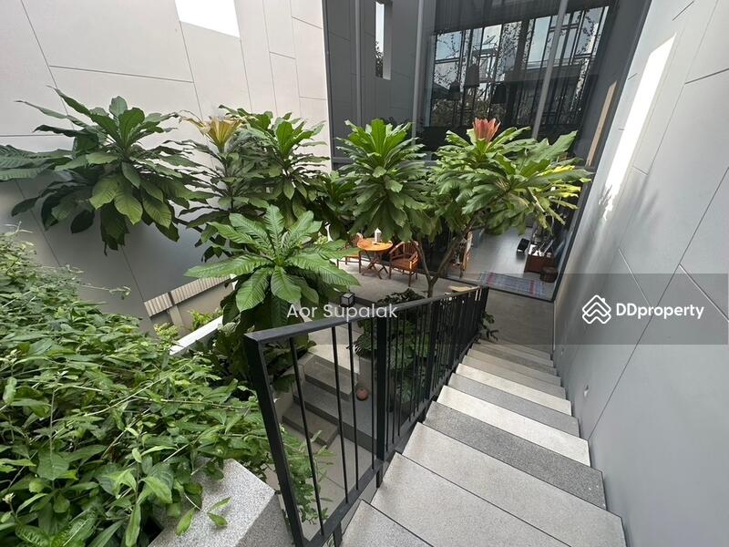 ให้เช่า - Baan Puripuri Courtyard Pattanakarn : บ้านภูริปุรี คอร์ทยาร์ด พัฒนาการ, กรุงเทพ