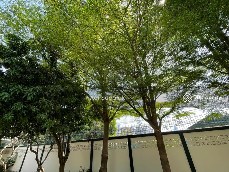 ให้เช่า - House for Rent 4 Bedrooms near BTS Bang Chak, กรุงเทพ