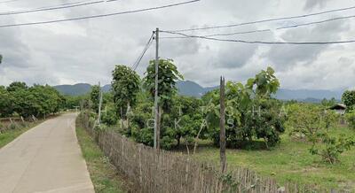 ขาย - ที่ดินสวนลำใย เชียงใหม่, เชียงใหม่