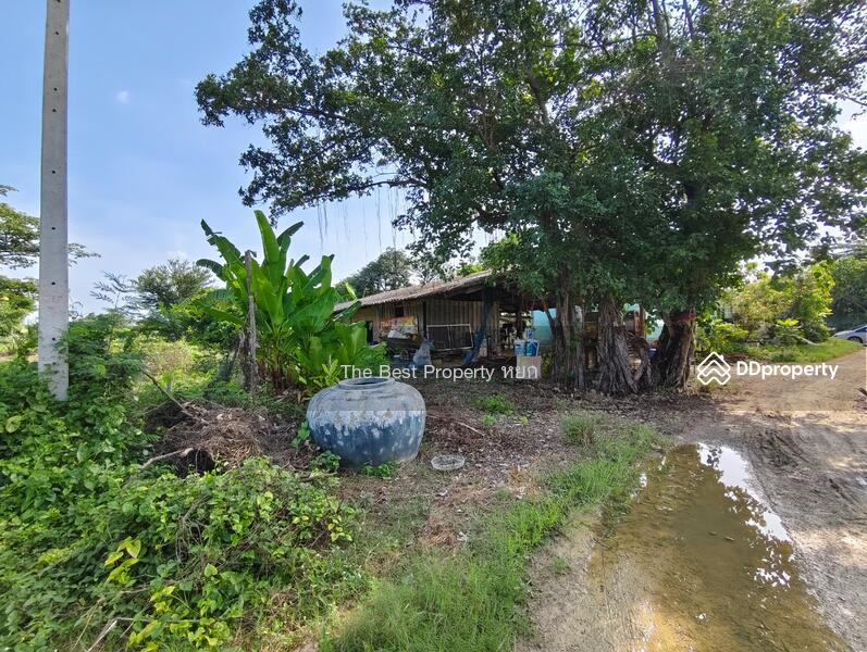 ขาย - บ้านเดี่ยวโพธาราม ราชบุรี, ราชบุรี
