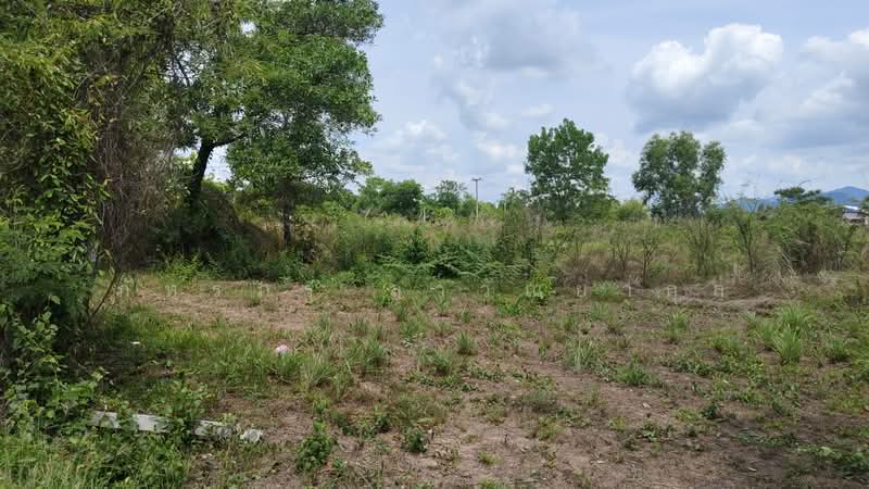 ขาย - ที่ดิน ใกล้ รร.นายร้อย จปร. เพียง 3.5 กม. เนื้อที่ 4ไร่ 2งาน 76ตร.วา, นครนายก