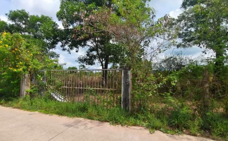 ที่ดิน ใกล้ รร.นายร้อย จปร. เพียง 3.5 กม. เนื้อที่ 4ไร่ 2งาน 76ตร.วา, Nakhon Nayok, Phrommani, Muang Nakhon Nayok, Nakhon Nayok, , 7,504 sqm, Land For Sale, by ภัทรภร ลาวัณยากุล, 11896600 - DDproperty.com