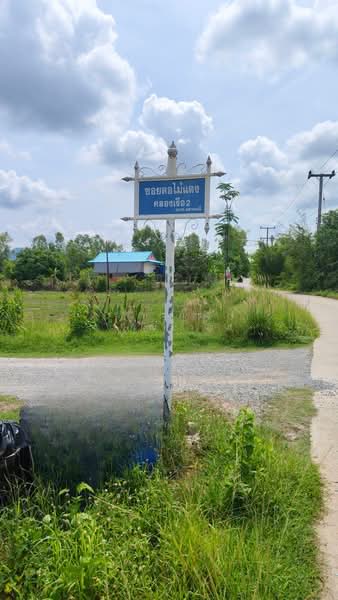 ขาย - ที่ดิน ใกล้ รร.นายร้อย จปร. เพียง 3.5 กม. เนื้อที่ 4ไร่ 2งาน 76ตร.วา, นครนายก