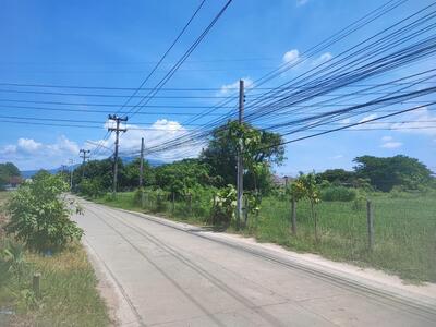 ขาย - ที่ดินแปลงสวย ต.สันผักหวาน อ.หางดง เชียงใหม่ : S5 พื้นที่ 74 ตรว. ราคาเพียง 899,000 บาท, เชียงใหม่