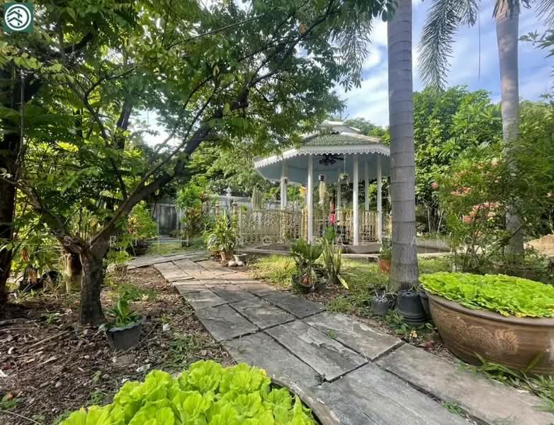บ้านเดี่ยว 191 ตร.วา ใกล้รถไฟฟ้า 290 เมตร สุขุมวิท ปากน้ำ สมุทรปราการ 14.9 ล้าน เจ้าของขายเอง, Samut Prakan, สุขุมวิท ซอย 27, Pak Nam, Muang Samut Prakarn, Samut Prakan, 2 Bedrooms, 261 sqm, Single Detached House For Sale, by Sirithong Saetang, 11897715 - DDproperty.com