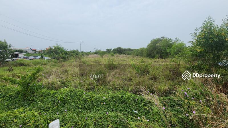 ขาย - ที่ดินใกล้แยกอัยการตรงข้ามโรงเรียนนาจอมเทียน ถนนสุขุมวิท ชลบุรี, ชลบุรี