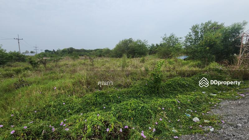 ขาย - ที่ดินใกล้แยกอัยการตรงข้ามโรงเรียนนาจอมเทียน ถนนสุขุมวิท ชลบุรี, ชลบุรี