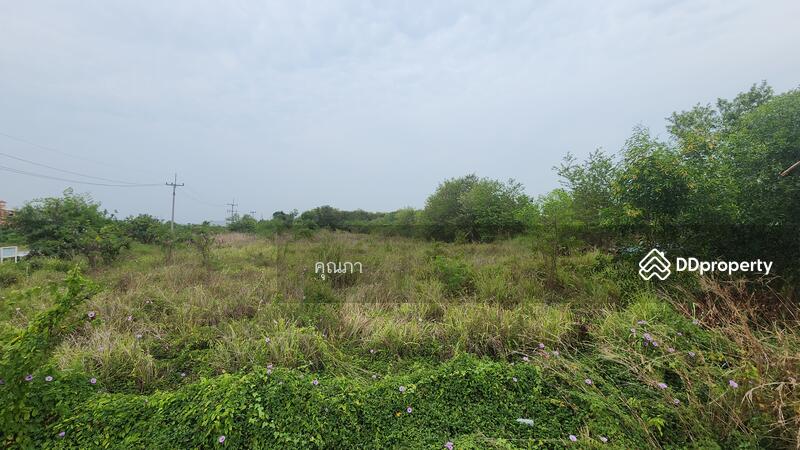 ขาย - ที่ดินใกล้แยกอัยการตรงข้ามโรงเรียนนาจอมเทียน ถนนสุขุมวิท ชลบุรี, ชลบุรี