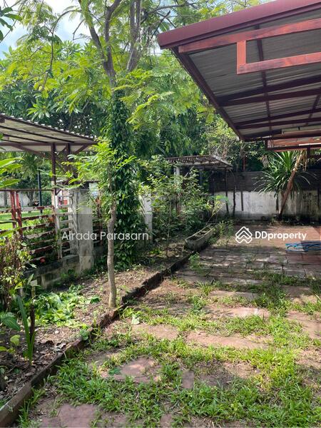 For Rent - ชวนชื่นซิตี้, Bangkok