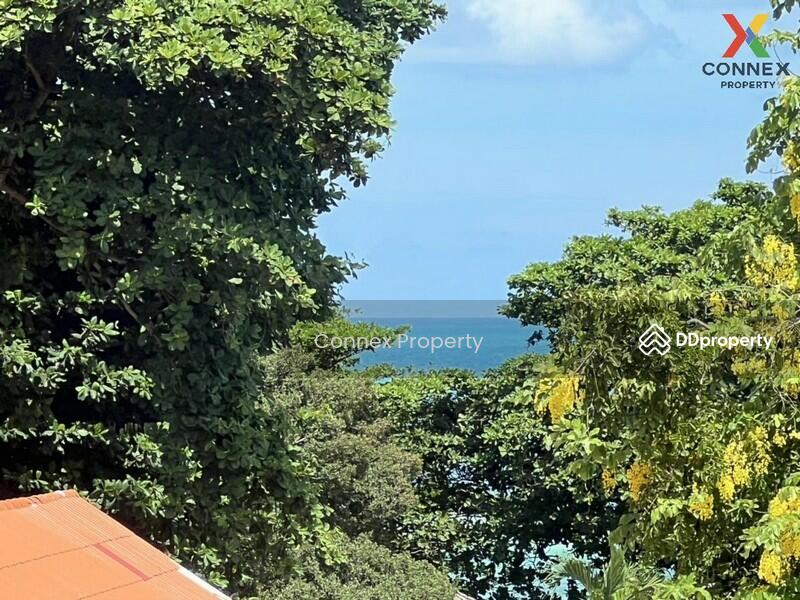 ขาย - อาคารพาณิชย์,หาดเฉวง เกาะสมุย Commercial building ,Chaweng Samui, สุราษฎร์ธานี