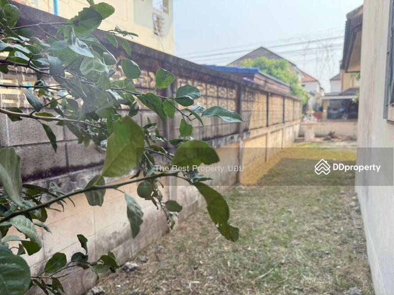 ขาย - พฤกษ์พนา เอสอาร์แลนด์, เชียงใหม่