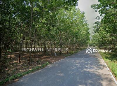 ขาย - ขายที่ดินลาดกระทิง 12 ไร่ ติดลำห้วยใกล้ตลาดสนามชัยเขต-7กม. อ.สนามชัยเขต, ฉะเชิงเทรา