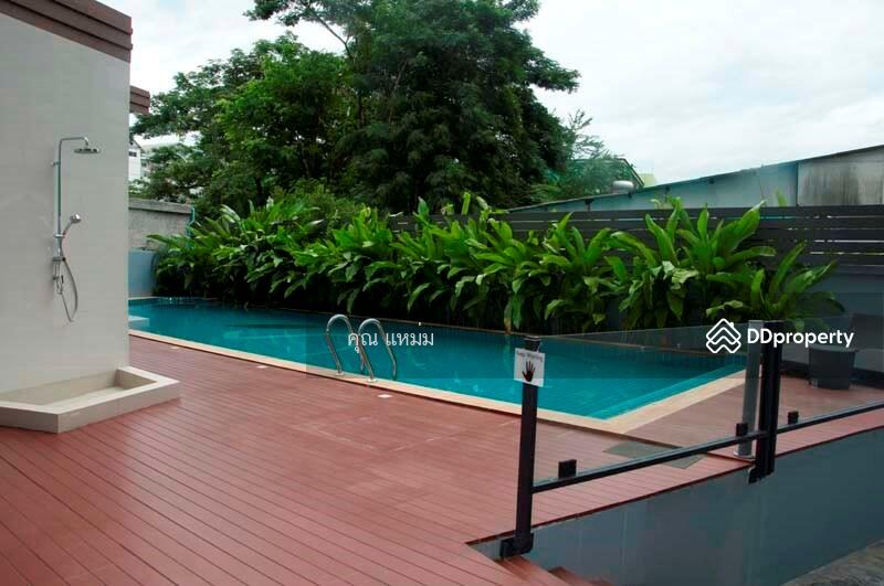 ให้เช่า - S Condo Chiang Mai : เอส คอนโด เชียงใหม่, เชียงใหม่