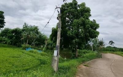 ขาย - CYP198ขายที่ดินเกาะจันทร์ ชลบุรี, ชลบุรี