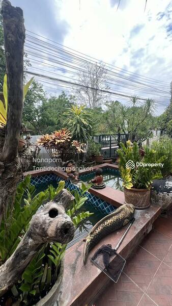 ขาย - Fah Luang Village : บ้านฟ้าหลวง, เชียงใหม่