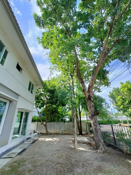 Prueklada Pinklao-Sai 5, Nakhon Pathom, Pinklao-Nakhonchaisri Road, Bang Toei, Sam Phran, Nakhon Pathom, 4 Bedrooms, 180 sqm, Single Detached House For Rent, by คุณนพพล อภินนท์กูล, 11901492 - DDproperty.com