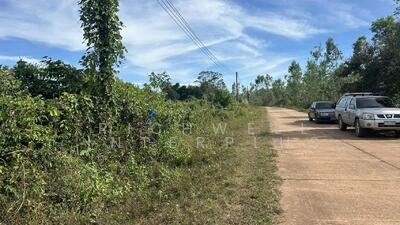 ขาย - ขายที่ดินวังดาลเนื้อที่ 2 ไร่ ติดถนนคอนกรีต ใกล้ถนนสุวรรณศร33-500เมตร อ.กบินทร์บุรี, ปราจีนบุรี