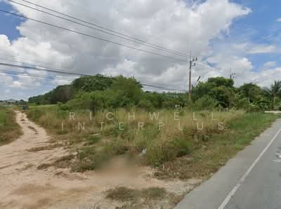 ขาย - ขายที่ดินพนานิคมสีม่วงลาย 11 ไร่ ติดถนนรย.2051 ใกล้BYD-5.6กม. อ.นิคมพัฒนา, ระยอง