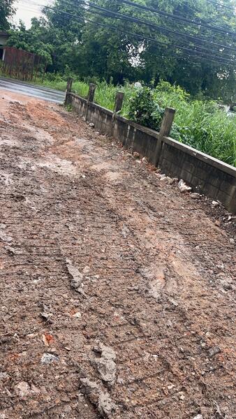 ขาย - ที่ดิน 19 ไร่ ติดถนนลำลูกกา11 ปทุมธานีทางเข้า 8 เมตร ราคาถูก, ปทุมธานี