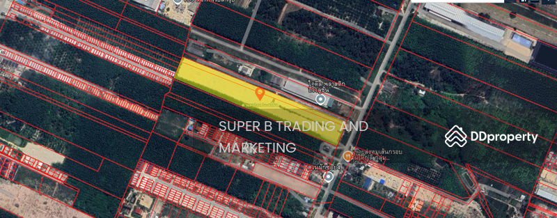 For Sale - Land for sale, 19 rai, 3 ngan, 65.3 sq m, Plaeng Daeng, Rayong, Rayong