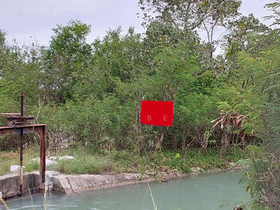 ขาย - ที่ดินหัวไทร นครศรีธรรมราช, นครศรีธรรมราช