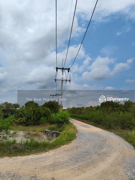 ขาย - ที่ดินหัวไทร นครศรีธรรมราช, นครศรีธรรมราช