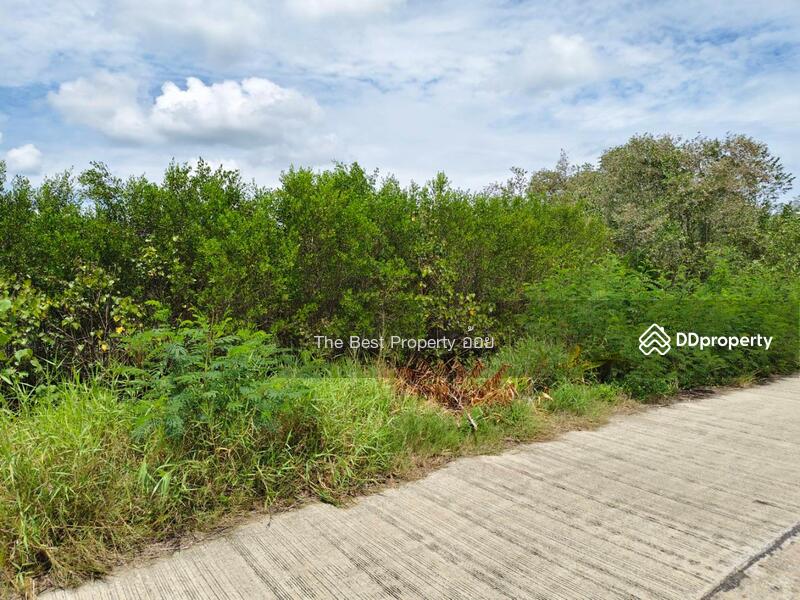 ขาย - ที่ดินหัวไทร นครศรีธรรมราช, นครศรีธรรมราช