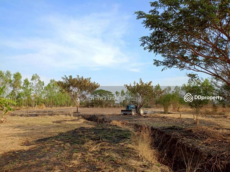 ขาย - ขายที่ดินลพบุรี ถนนสาย21สระบุรี-หล่มสัก อำเภอพัฒนานิคม, ลพบุรี
