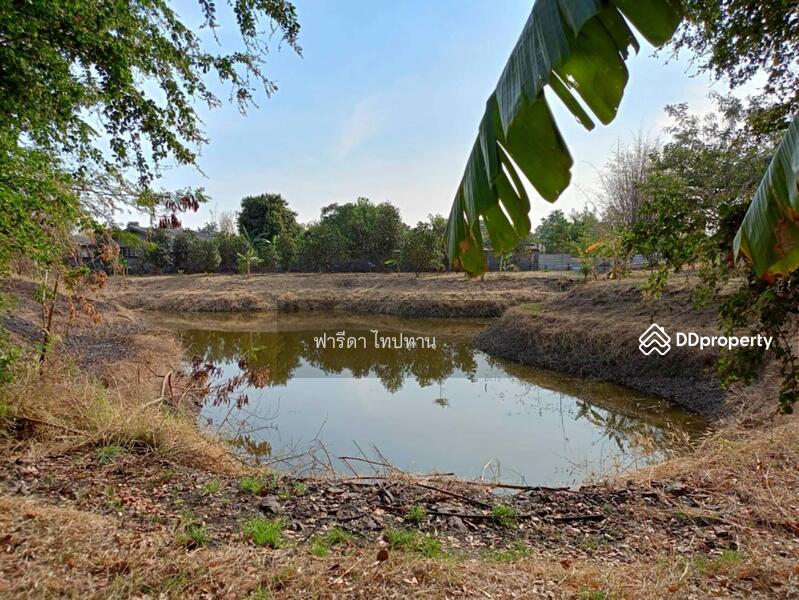 ขาย - ขายที่ดินลพบุรี ถนนสาย21สระบุรี-หล่มสัก อำเภอพัฒนานิคม, ลพบุรี