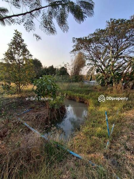 ขาย - ขายที่ดินลพบุรี ถนนสาย21สระบุรี-หล่มสัก อำเภอพัฒนานิคม, ลพบุรี