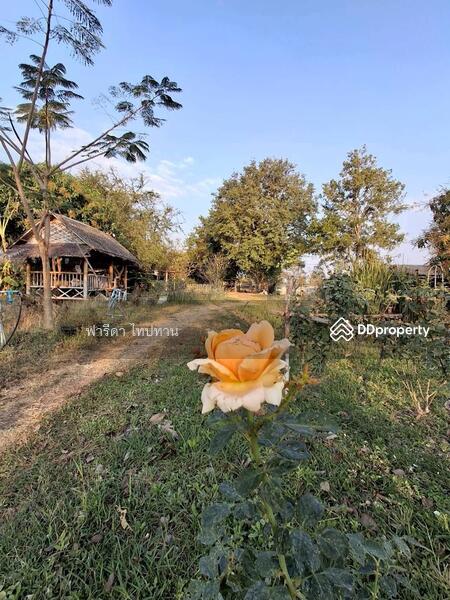 ขาย - ขายที่ดินลพบุรี ถนนสาย21สระบุรี-หล่มสัก อำเภอพัฒนานิคม, ลพบุรี