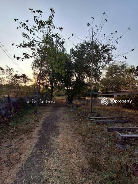 ขาย - ขายที่ดินลพบุรี ถนนสาย21สระบุรี-หล่มสัก อำเภอพัฒนานิคม, ลพบุรี