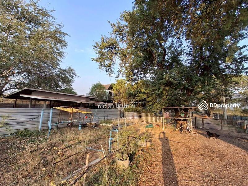 ขาย - ขายที่ดินลพบุรี ถนนสาย21สระบุรี-หล่มสัก อำเภอพัฒนานิคม, ลพบุรี