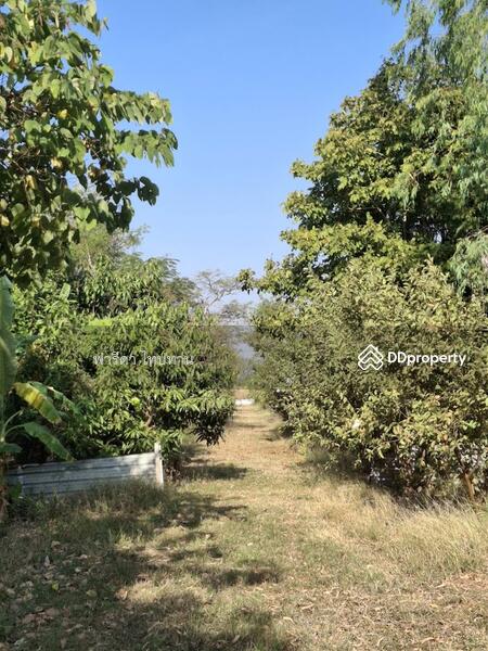ขาย - ขายที่ดินลพบุรี ถนนสาย21สระบุรี-หล่มสัก อำเภอพัฒนานิคม, ลพบุรี