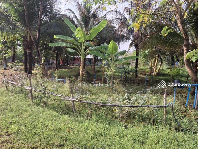 ขาย - ขายที่ดินลพบุรี ถนนสาย21สระบุรี-หล่มสัก อำเภอพัฒนานิคม, ลพบุรี