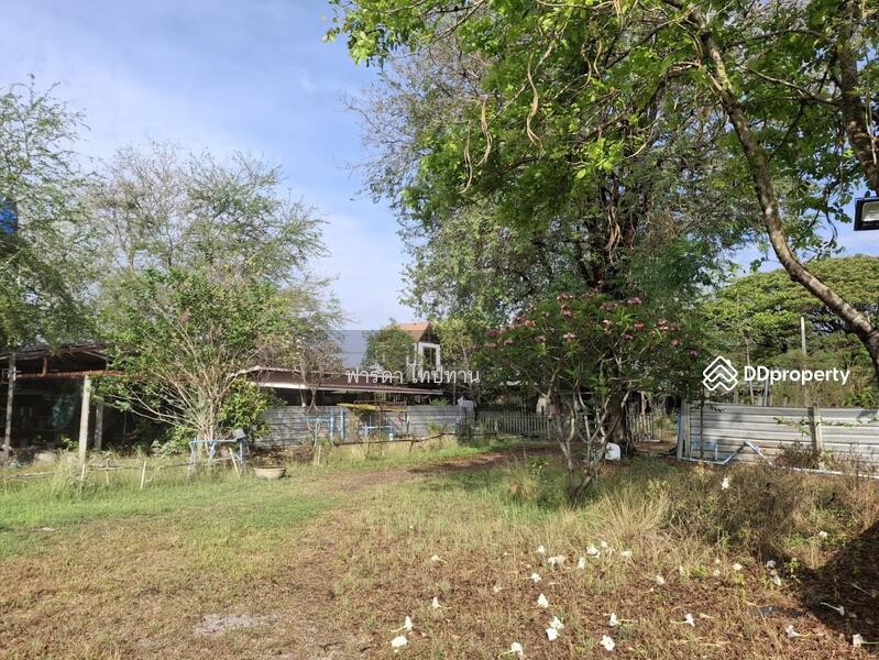 ขาย - ขายที่ดินลพบุรี ถนนสาย21สระบุรี-หล่มสัก อำเภอพัฒนานิคม, ลพบุรี