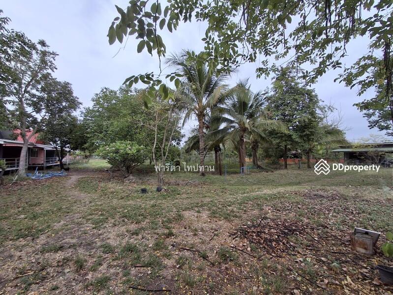 ขาย - ขายที่ดินลพบุรี ถนนสาย21สระบุรี-หล่มสัก อำเภอพัฒนานิคม, ลพบุรี
