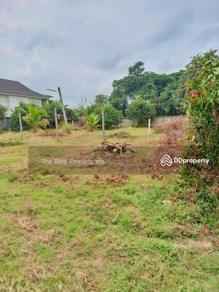 ขาย - ที่ดินเชียงคำ พะเยา, พะเยา