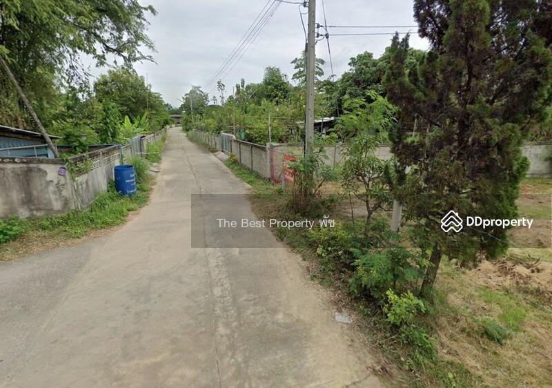 ขาย - ที่ดินเชียงคำ พะเยา, พะเยา