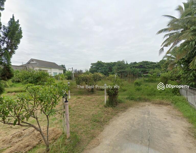 ขาย - ที่ดินเชียงคำ พะเยา, พะเยา