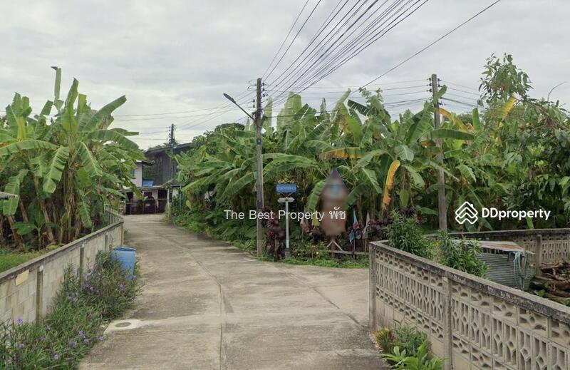 ขาย - ที่ดินเชียงคำ พะเยา, พะเยา