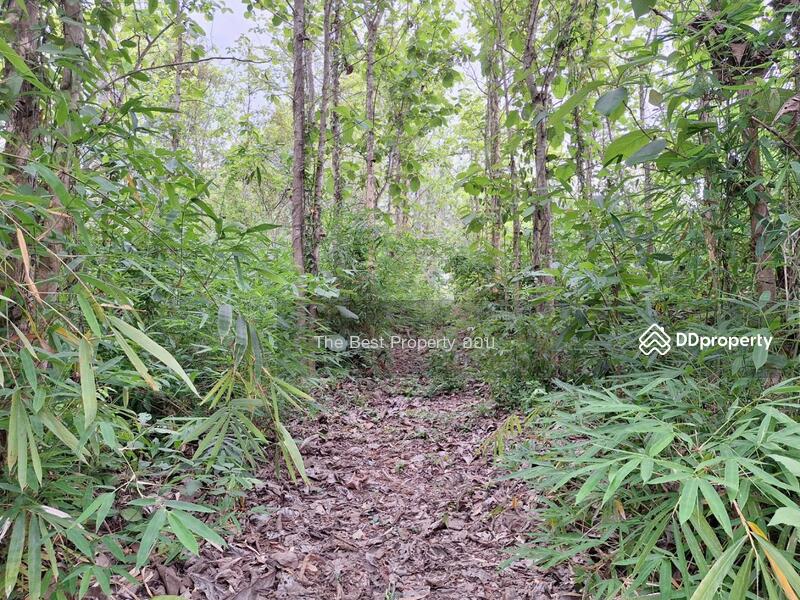 For Sale - ที่ดินท่าปลา อุตรดิตถ์, Uttaradit