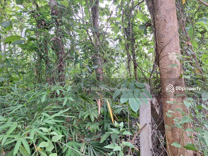 For Sale - ที่ดินท่าปลา อุตรดิตถ์, Uttaradit
